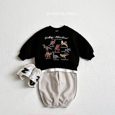 vivid54｜(78cm-125cm) 恐龍印花休閒上衣8