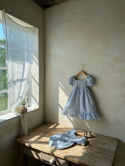 Anne Shirley32｜(1y-5y) 1色夏日藍碎花公主袖洋裝7