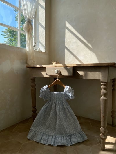 Anne Shirley32｜(1y-5y) 1色夏日藍碎花公主袖洋裝8