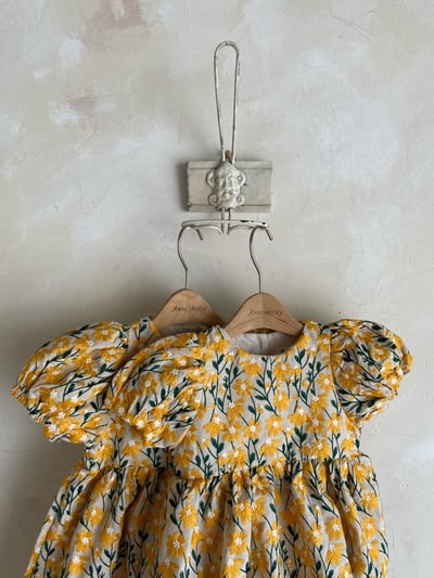 Anne Shirley39｜(1y-5y) 2色夏日刺繡花卉洋裝4