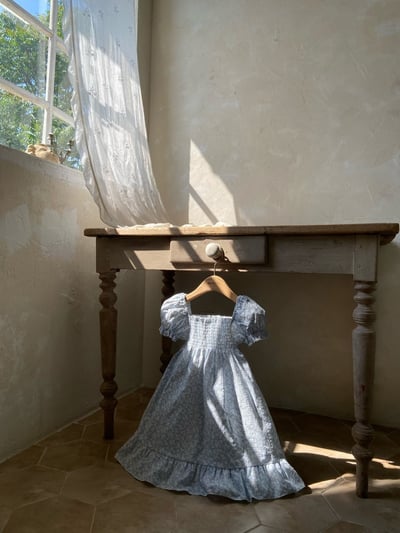 Anne Shirley32｜(1y-5y) 1色夏日藍碎花公主袖洋裝2