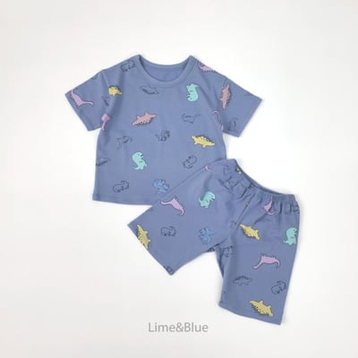 LIME&BLUE35｜(80-118cm)  探險恐龍套裝9