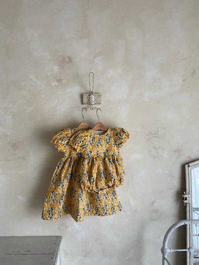 Anne Shirley38｜(3m-22m) 2色夏日刺繡花卉包屁衣12