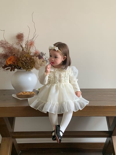 JE622｜(66cm-120cm) 公主袖薄紗包屁衣/洋裝5