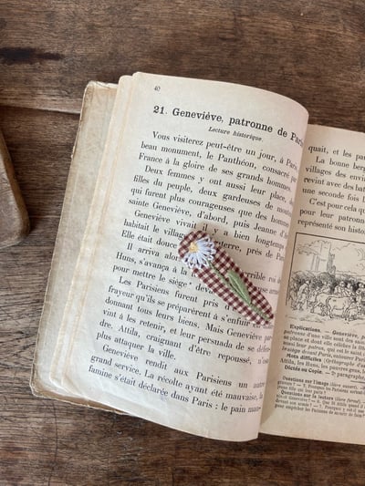 Anne Shirley42｜(free) 6色刺繡手工髮夾6