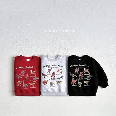 vivid54｜(78cm-125cm) 恐龍印花休閒上衣10