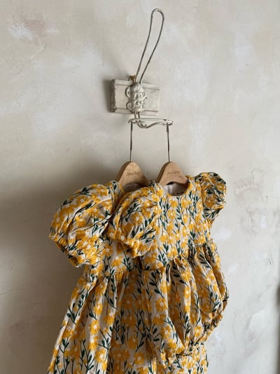Anne Shirley38｜(3m-22m) 2色夏日刺繡花卉包屁衣13
