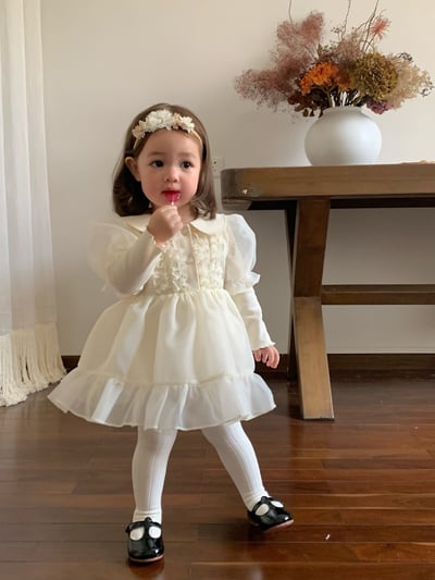 JE622｜(66cm-120cm) 公主袖薄紗包屁衣/洋裝8