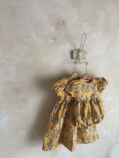Anne Shirley38｜(3m-22m) 2色夏日刺繡花卉包屁衣11