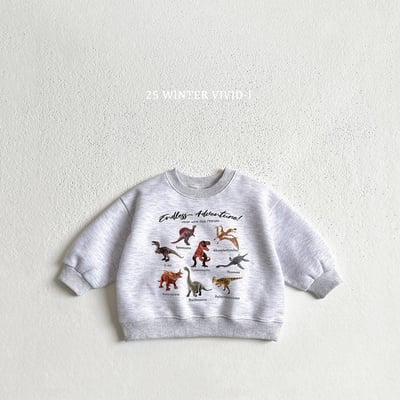 vivid54｜(78cm-125cm) 恐龍印花休閒上衣5