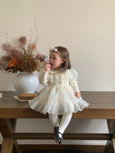 JE622｜(66cm-120cm) 公主袖薄紗包屁衣/洋裝6