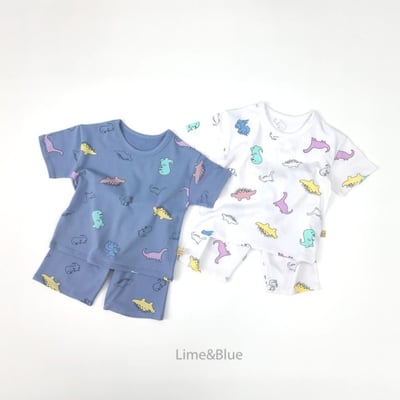 LIME&BLUE35｜(80-118cm)  探險恐龍套裝4