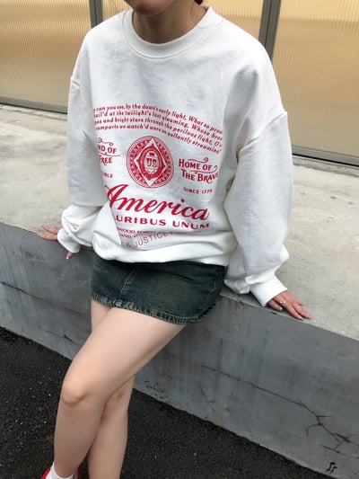 (象牙白,燕麥色現貨) (Unisex) America 美式印刷 大學T - 5C13