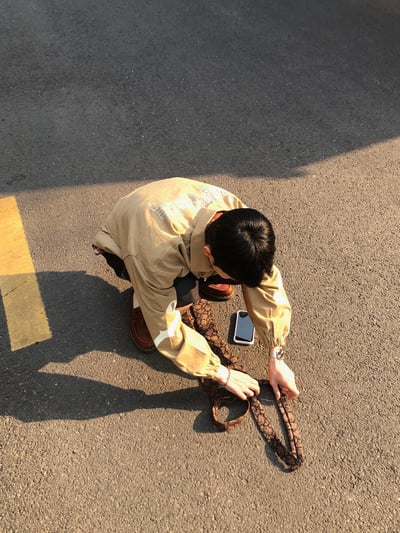 文藝復興 花雕紋 復古領帶 - 2C19