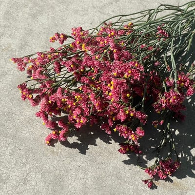 水晶花 金黃紅色1