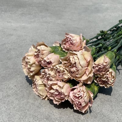 美大康 復古粉2