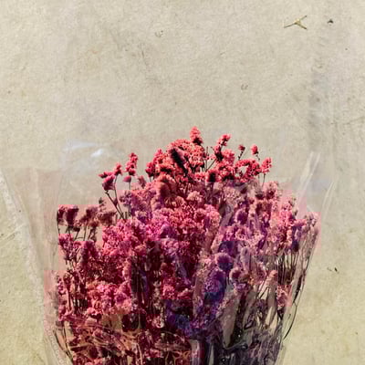 不凋水晶花 粉色2