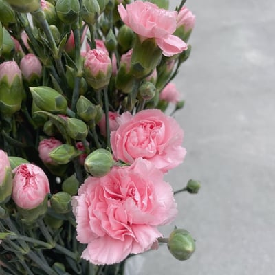 國產中康 粉色2