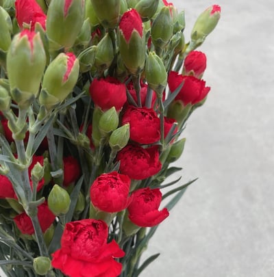 國產中康 紅色1