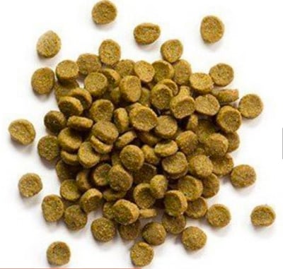 路比爾寵貂飼料(獸醫建議可少量攝取) 50G1