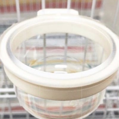 掛式小圓杯（可裝水裝飼料）1