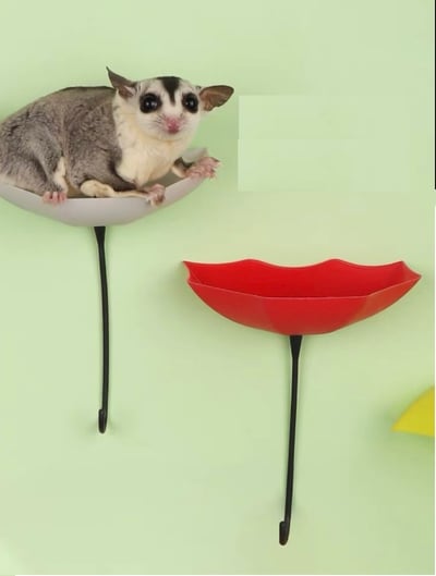 雨傘跳台 (三個一組不挑色)鍊子另購1