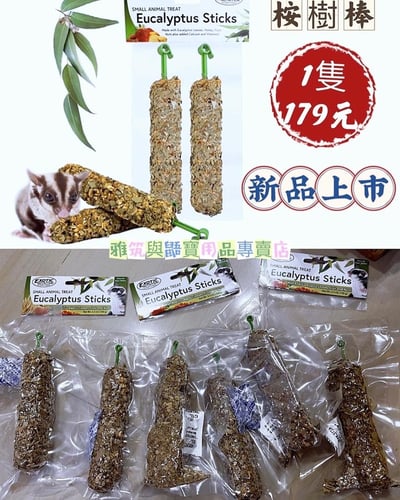 EUCALYPTUS STICKS 桉樹棒1