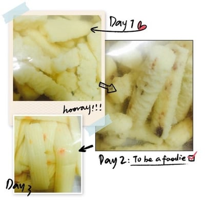 紅蘿蔔/蔓越莓/蜂蜜 奶酪條 20G1