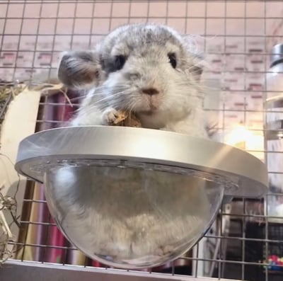 雲朵太空艙睡窩(中/大)5