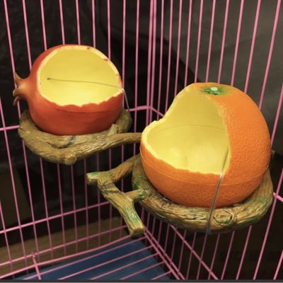 美國花園系列造型食盆2