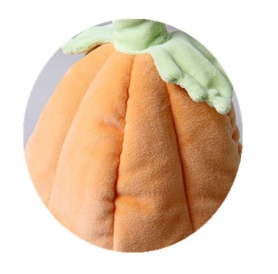 二個洞口南瓜窩3