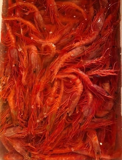 胭脂蝦乾 10G/20G5