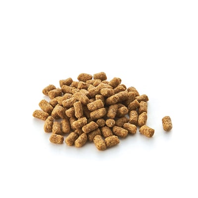 フクロモモンガレシピ糖滑翔翼乾糧2