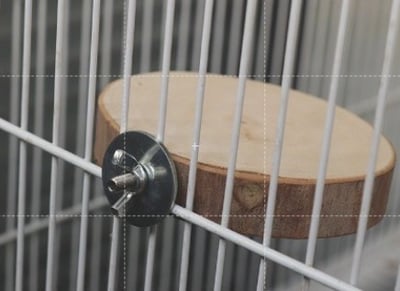 籠內圓形胺樹踏板每塊約 10-14公分3