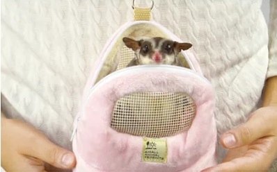 WILD SANKO 日本粉色外出袋2