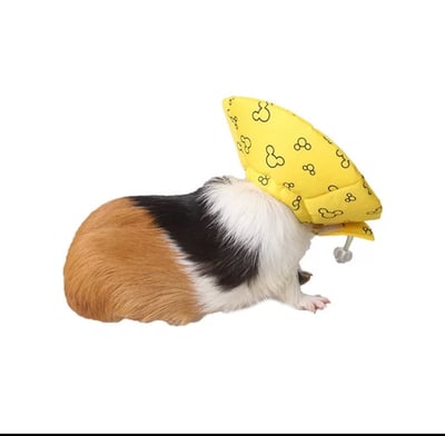 伊莉莎白頭套(米奇圖案)二色2