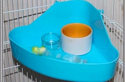 扇形淺型餐盤食盆餐檯（不含食盆）3