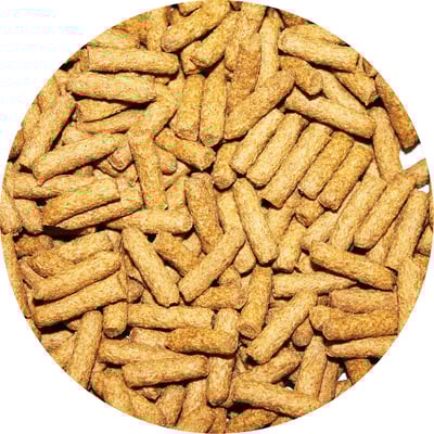 PREMIUM INSECTIVORE DIET 優質食蟲雞肉高蛋白2