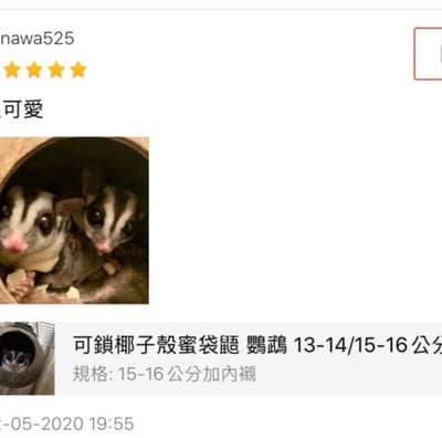 可鎖椰子殼 (圓)4