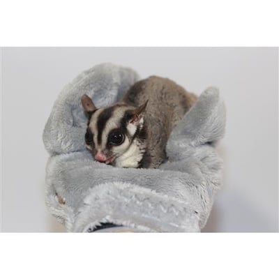 培養感情手套(Exotic Nutrition's )5