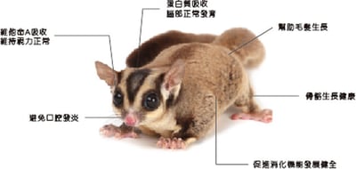 小動物專用 娜塔花蜜粉 120g2