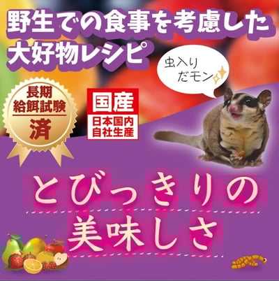 Hikari 日本 蜜袋鼯完全營養主食飼料 50G2