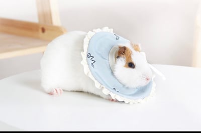 軟頭套 (不挑色) 兩種尺寸4