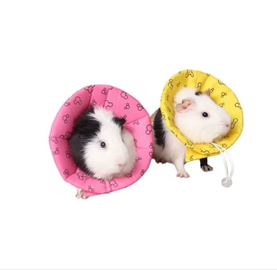 伊莉莎白頭套(米奇圖案)二色1