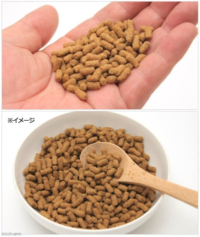 善玉 乳酸菌乾糧2