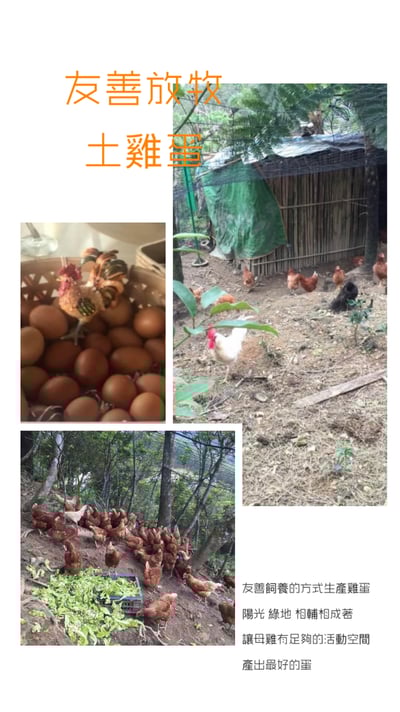 【限冷凍宅配/超商冷凍配送】BML食譜 一隻蜜袋鼯一個月份3