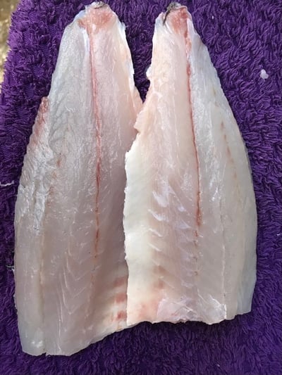 【限冷凍宅配/超商冷凍配送】活海鱸魚現殺(白肉)(真空包裝)2