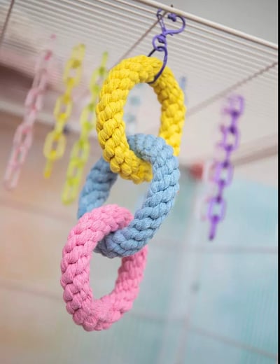 籠內三個圈圈玩具3