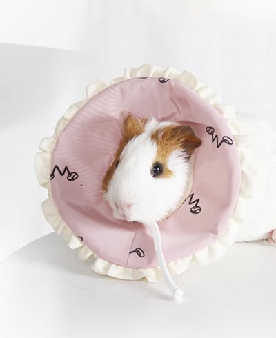 軟頭套 (不挑色) 兩種尺寸7