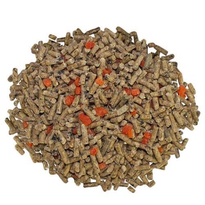 SUGAR GLIDER DIET WITH PAPAYA AND EUCALYPTUS 木瓜胺樹乾糧3